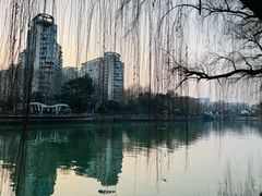 -运河游船(武林门码头)