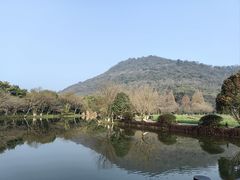 -八卦田遗址公园
