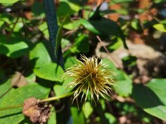 -广东花都香草世界旅游度假区