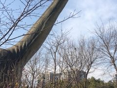 -自然谷恐龙园