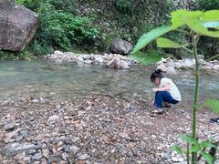 -MOJ coffee(瓯海泽雅水碓坑店)