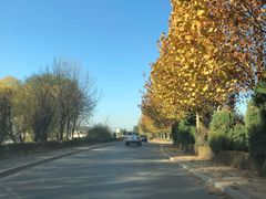 -北京拉斐特城堡酒店