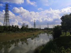 -王借岗森林公园