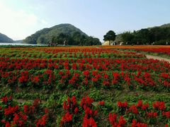 -广州市石门国家森林公园