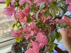 -天天初二·天津传统捞面·天津特色菜(凌奥总店)