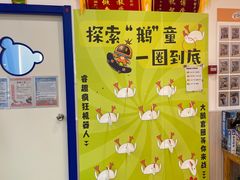 -睿趣疯狂机器人·乐高·编程·STEM(橡树湾中心)