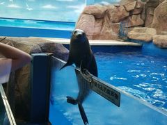 -沈阳海洋探索中心