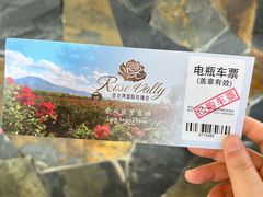 -亚龙湾国际玫瑰谷