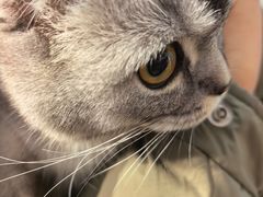 -王允海动物医院(中央大街店)