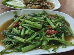 空心菜-Larp Silom 3
