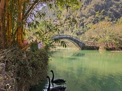 -靖西鹅泉风景区