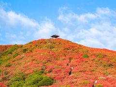 -大围山国家森林公园