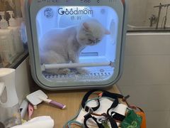 -悠尼宠物·独立低压伊珊娜洗护·美容·寄养(兰谷路店)