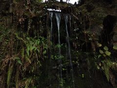 -杭州黄龙洞