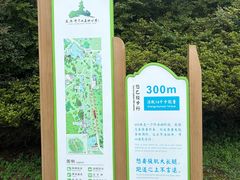-宜兴龙背山森林公园