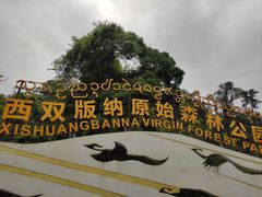 -西双版纳原始森林公园