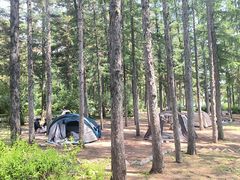 -长春市南湖公园