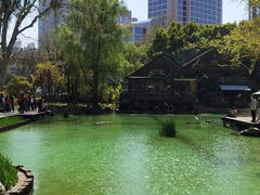 -静安公园(静安寺街道)
