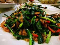 韭菜炒河虾-广东温泉宾馆