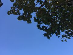 -上海市龙华烈士陵园