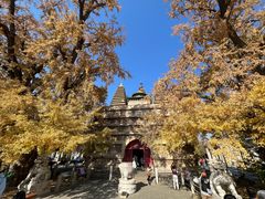 -北京石刻艺术博物馆(五塔寺)