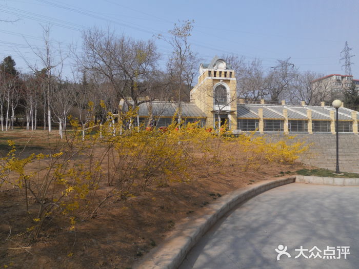 金家街公園-景點圖片-大連景點/周邊遊-大眾點評網