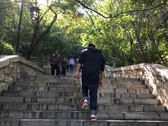 -济南方特东方神画