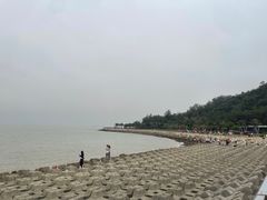 -野狸岛