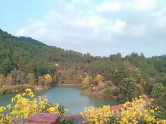 -广州白江湖森林公园