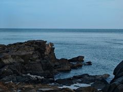 -大鹿岛