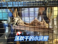 -酷嗒动物文化乐园(cutezoo西溪乐天城店)