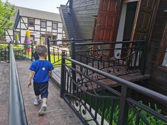 -金山农民画村-枫泾波兰倒置屋