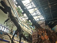 -安徽省地质博物馆