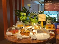 -The Lounge大堂酒廊·咖啡·沙拉·下午茶(金茂深圳JW万豪酒店)