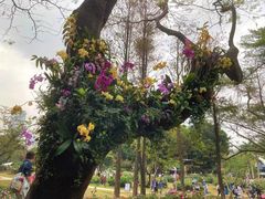 -人民公园(罗湖区)