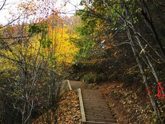 -塔云山