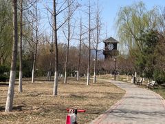 -永定河休闲森林公园