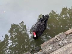 -金庭庄园酒店-停车场