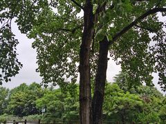 -上海怡沁园度假酒店