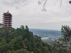 -缙云山景区