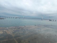 -星海湾跨海大桥