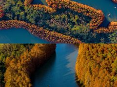 -上海海湾国家森林公园