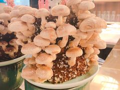 -捞王锅物料理(上海世茂广场店)