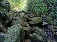 -梧桐山风景名胜区