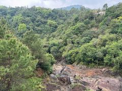 -广州白江湖森林公园