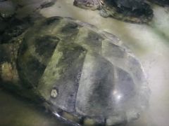 -常州海昌海洋探索馆