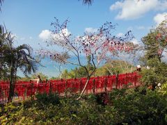-鹿回头风景区