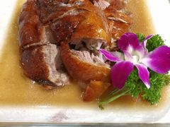 -小桃源酒家(罗湖商业城店)