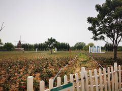 -渔岛海洋度假区