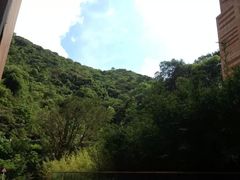 -香港大学
